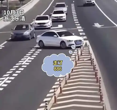 奇葩浙江奥迪女司机高速倒车看虚线以为可以倒,多次差点撞车