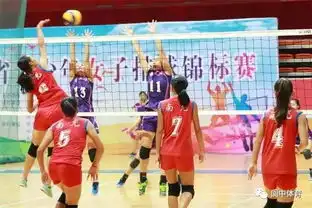 2017年四川省青少年女子排球锦标赛如火如荼