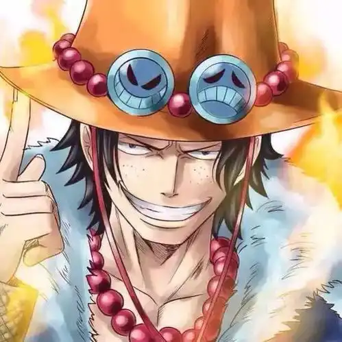 海贼王尼最帅的5个自然系恶魔果实能力no.5.烧烧果实能力