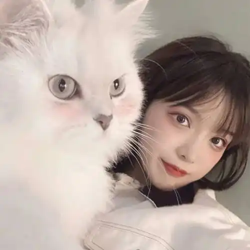 女生抱猫头像我在人间贩卖黄昏,只为收集时间的温柔去见你