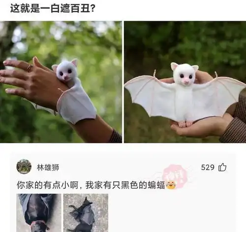 爆笑图集分手两年的女朋友,第一次联系,开场白应该说什么