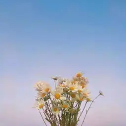 失经典