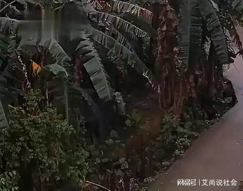 邻居办丧事,广西五保户男子凑热闹喝醉酒,结果在离家50米处惨死