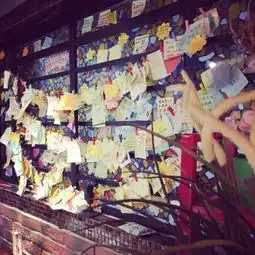 天津一个94年美女用了1年的时间,将几间毛坯小屋打造成了像花园一样的餐厅,只是想让爱情在这里开出花来...