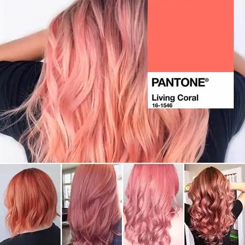 pantone2019票选流行新色出炉啦珊瑚橘太美了