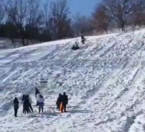 哈尔滨情侣叠罗汉坐充气圈在野外滑雪时撞树,女子需开颅男子昏迷