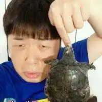 杜海涛头像图片大全主持人杜海涛个人头像图