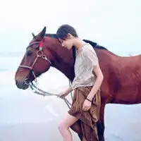 我带上与你一起骑过的那匹马一起去追你