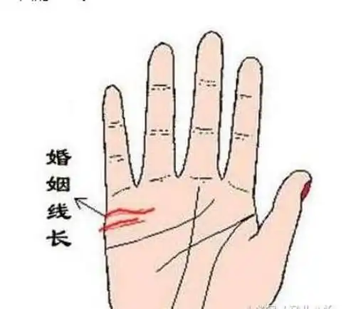 最命苦的女人手相,注定是离婚再婚之人的命运