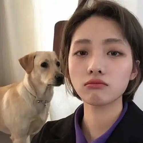 宝藏头像女头