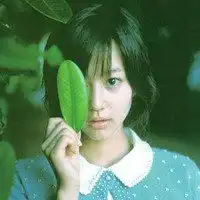 唯美意境森林头像微信头像图片大全