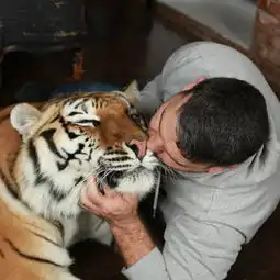骑老虎遛弯,和熊打架这个俄罗斯男人比贝爷还猛