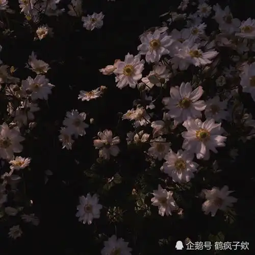世人慌慌张张,不过图碎银几两
