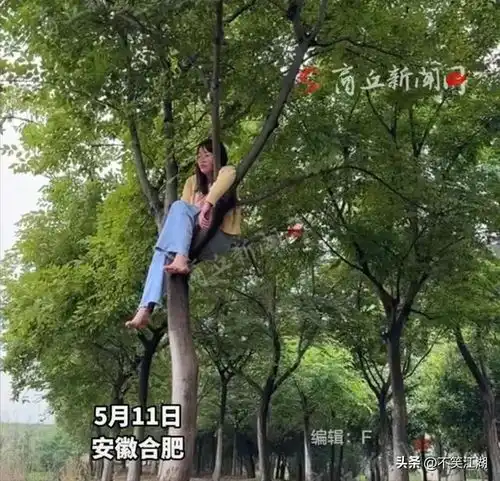 心酸安徽一女子与老公吵架上树,一夜未下,婆家遭全网抨击