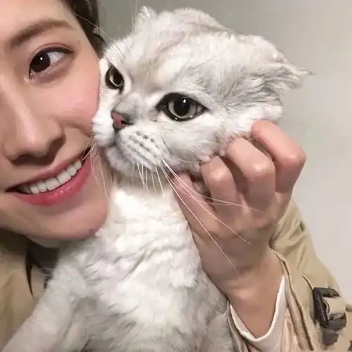 你知道吗科学证明,养猫对人的健康大有好处