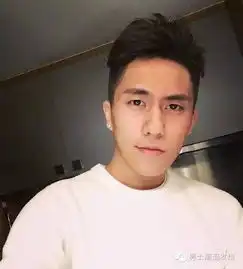 6种出类拔萃的男生发型