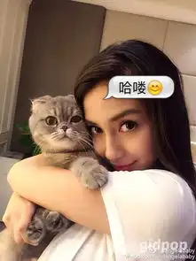 gidpop教你聊天用图片亮瞎对方,不看肯定吃亏