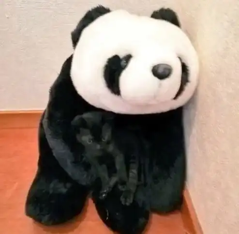 车也会拉肚子
