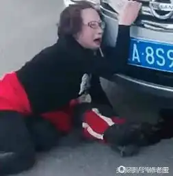 新手女司机开车撞到狗狗狗主人很伤心原来车主还在实习期