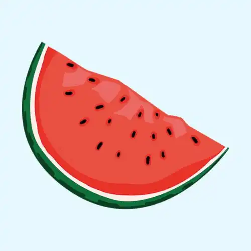 合理利用资源助力核心素养我校高倩老师在基于信息技术的新型教与学模式教学研讨会上做经验介绍