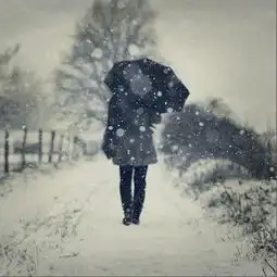 今天北京要下雪了欢呼还是伤悲致敬一个人的北京