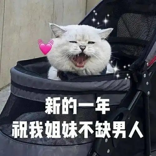 你能拿我怎么样