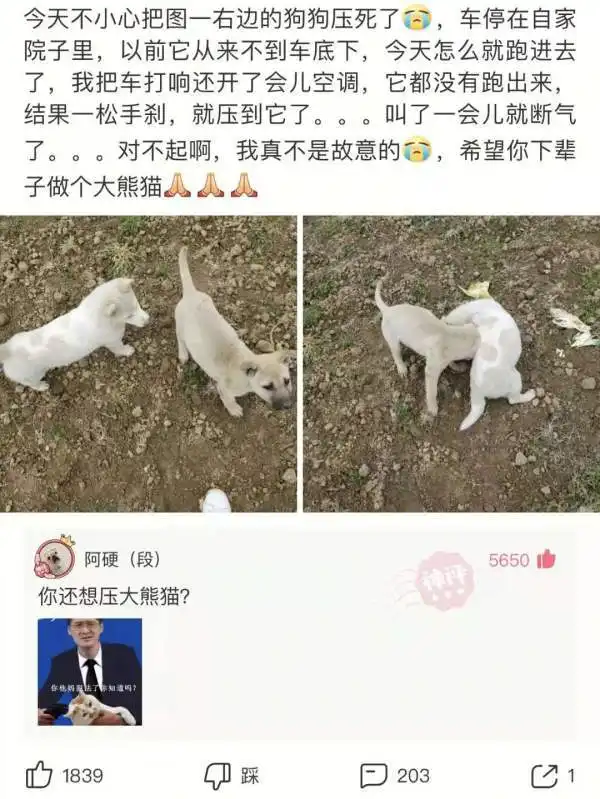 神回复如果没有以后请别来打扰我的生活腾讯新闻