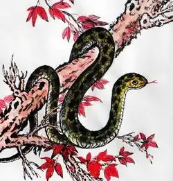 女人绝不能托付终生的生肖,没孝心还到处沾花惹草