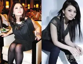 范冰冰赵薇张惠妹霍思燕娱圈女星爆肥屌丝照