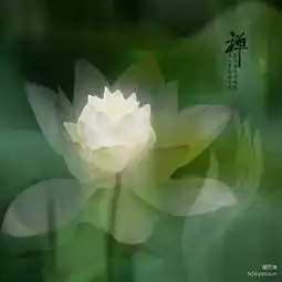 净心洗凡尘,佛度有缘人