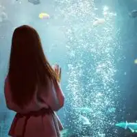 2016唯美背影微信女生头像