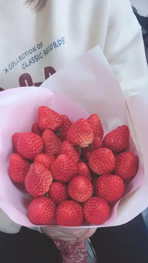 手机里收藏的壁纸