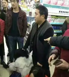 两人帮走失女童找家长被误当人贩遭打