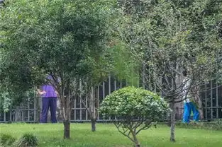反转杭州搬砖男孩成绩很好爸妈让他退学接受新教育
