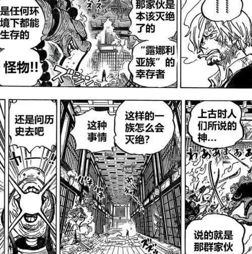 百兽海贼团人均家庭教师,学不会别想走,路飞索隆和山治有福了