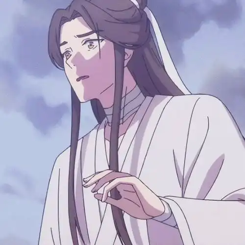 高清动漫男头天官赐福呆萌谢怜