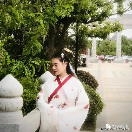 看自制古风美片神仙小姐姐与你同游仲景小镇