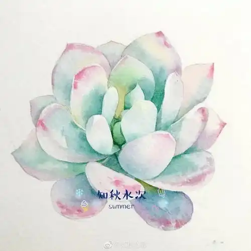 小清新水彩,好喜欢