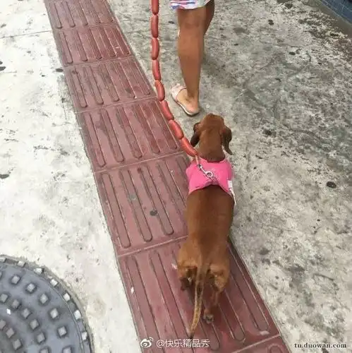 被生活逼到了死角