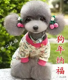 狗年要来啦送你吉祥狗,代表2018一整年的福气,快打开看看