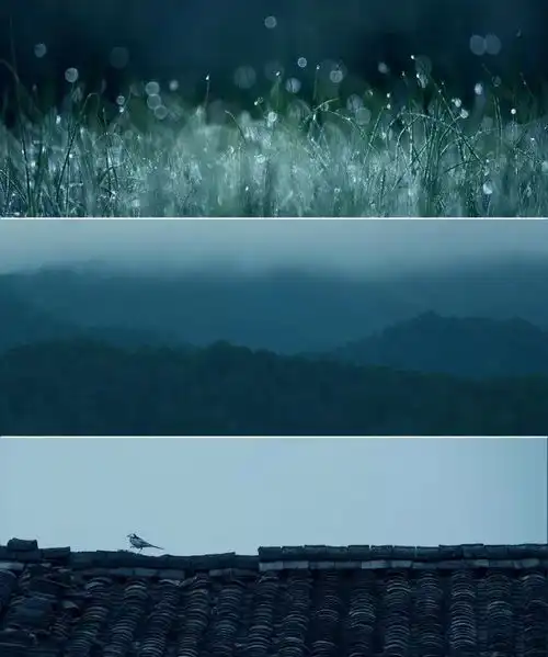 天地有大美,而无言80后美女摄影师带你找回最美江湖
