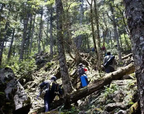 1881年,挪威猎人在原始森林抓到的野人女孩怎样了结局令人痛心
