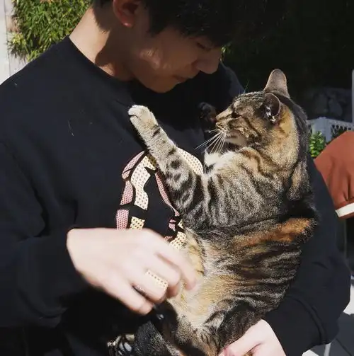 如何评价易烊千玺的ins内容