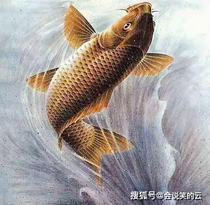 子女生在这4日,勤能补拙有后福,未来富贵,父母倍有成就感