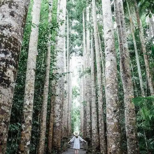 花开旅行旅行如何拍出唯美大片秘诀就在于不看镜头
