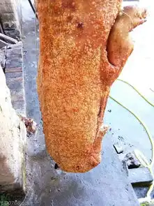 泗纶传统黄氏扫墓
