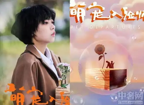 萌宠入殓师发预告海报剩女创业正能量