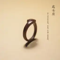 致十二星座的木质戒指