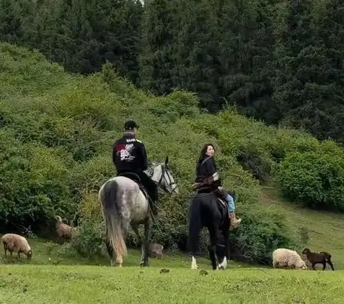 太甜了汪峰森林北新疆骑马,森林北牵着汪峰走,回眸一笑好浪漫