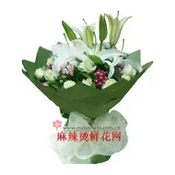 16枝白玫瑰,2枝白16枝白玫瑰,2枝白怎么样16枝白玫瑰,2枝白多大时尚鲜花网